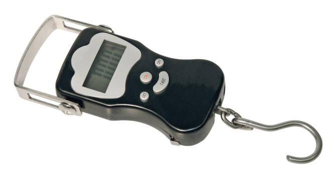 Peson digital Digiscale 50 grad. 20g, 50kg
