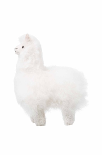 Alpacaknuffel BOUSSOLE (15 cm) in alpacabont - Blanc - APU KUNTUR