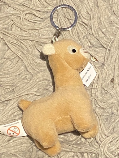 Sleutelhanger